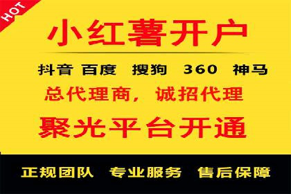 信息流广告投放公司：成功案例解析